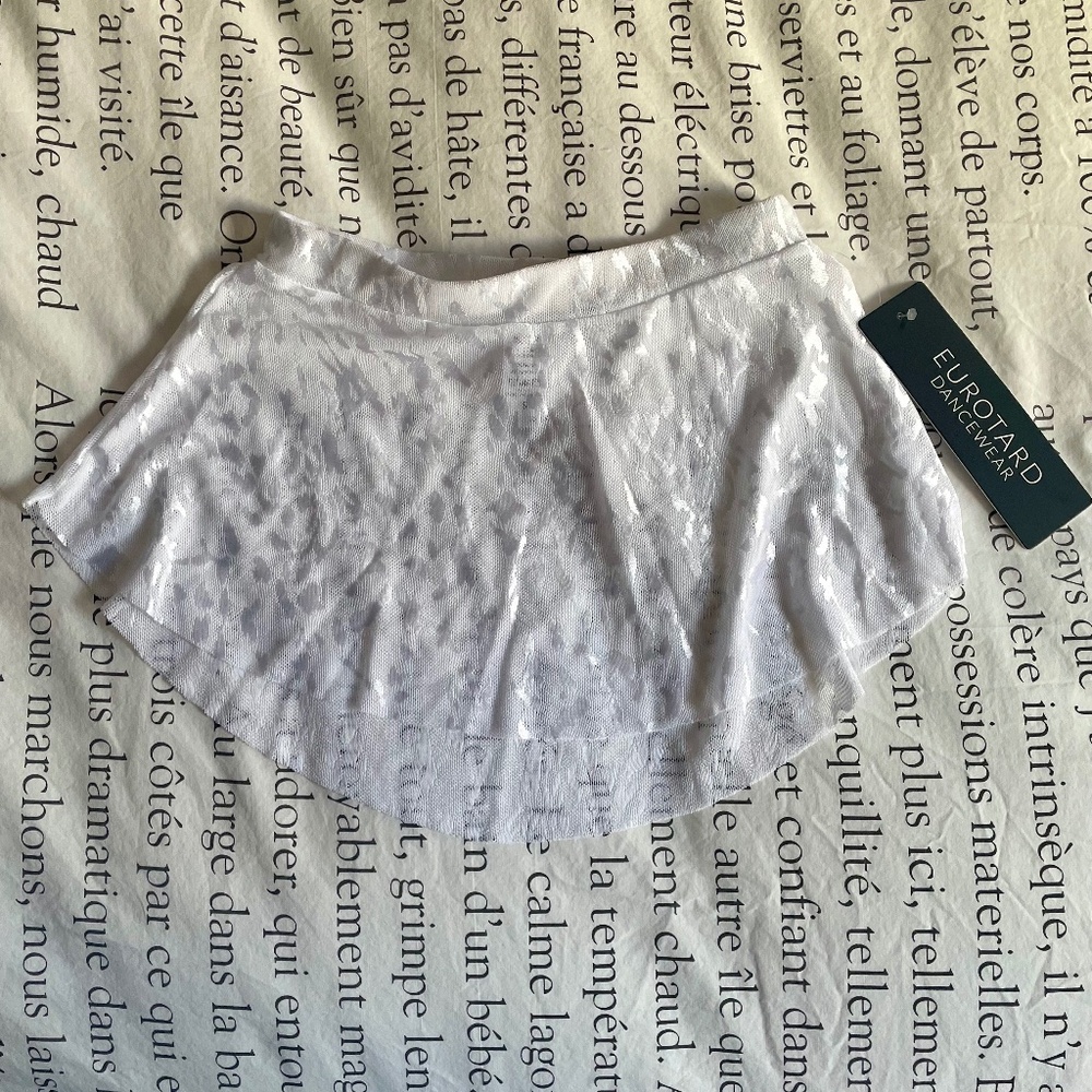 SAB-style mesh ballet skirt